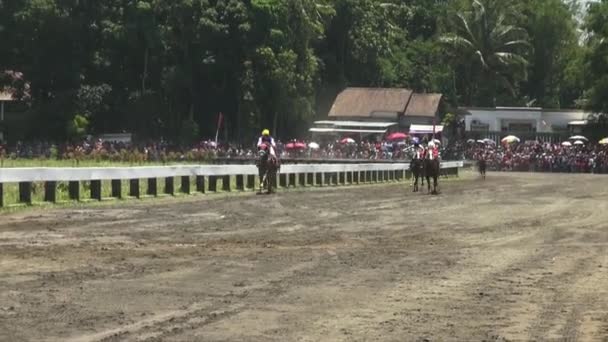 Semarang Indonesien September 2022 Pferderennen — Stockvideo