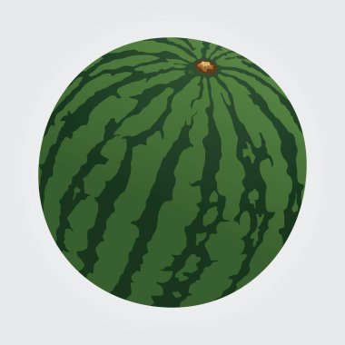 Karpuz olgun çizgi film ikonu vektör tasarımı illüzyon duvar kağıdı arkaplanı