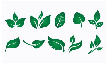 Yeşil yaprak logosu. simge ve doğa elementleri dizisi