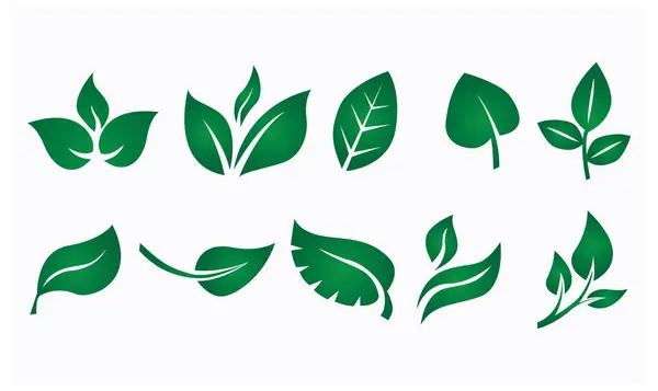 Yeşil yaprak logosu. simge ve doğa elementleri dizisi