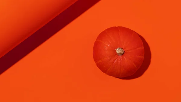 Citrouille Orange Sur Fond Orange Photo Haute Qualité — Photo