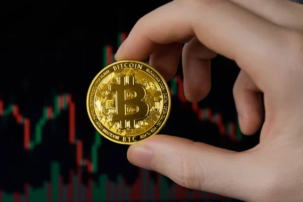Altın Bitcoin, elinde bir grafikle siyah bir arkaplanda, yakın plan. Şifreli para birimi. Bitcoin madencilik kavramı