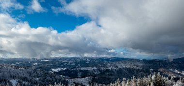 Kar ve ağaçlarla kaplı kış manzarası
