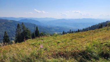 Manzarası dağlarda güzel bir manzara