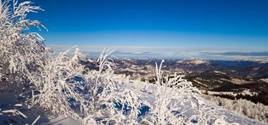 Kış dağı manzarası. Ormanda karla kaplı ağaçlar.