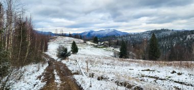 Ormandaki ağaçlar güzel kış manzarası kar ile kaplı
