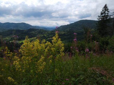 Dağlarda dağları olan güzel bir manzara.