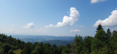 Karpatlar 'daki güzel dağ manzarası