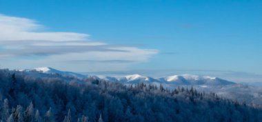 Karla kaplı ağaçlarla kaplı güzel kış manzarası