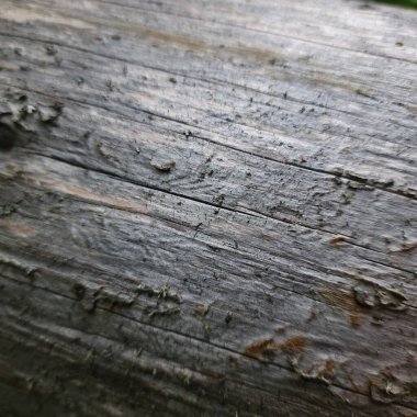 Eski ahşap tahta arka plan dokusu