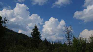 Dağlı güzel bir manzara.