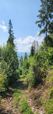 Dağların güzel manzarası