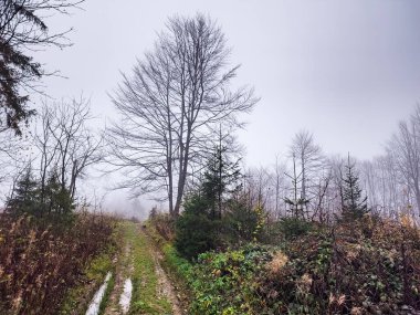 Parkın güzel manzarası