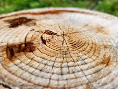 yakın - ahşap bir dokunun üzerine