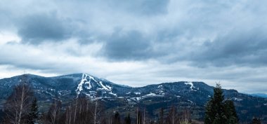 Dağlarda bir ağacı olan güzel bir manzara.