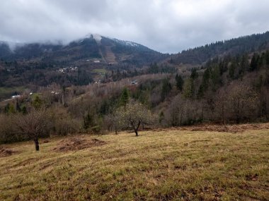 Bukovel köyünde sonbahar manzarası, Karpatlar