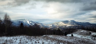 Dağları ve ormanı olan güzel bir manzara.