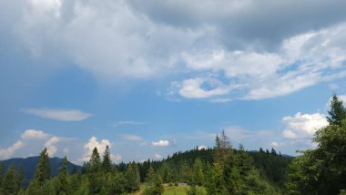 Karpatlar 'da yaz güneşli bir günde