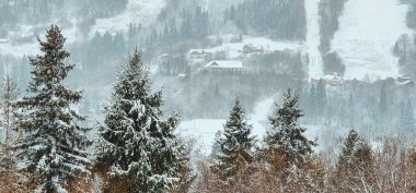 Karla kaplı ağaçlarla kaplı güzel kış manzarası