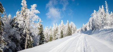Dağlarda karla kaplı ağaçlar, kış mevsimi