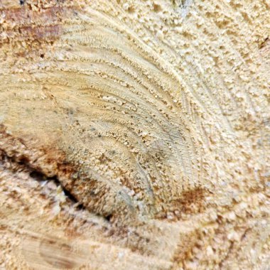 Doğal desenli ahşap arkaplan.