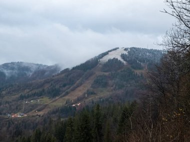 Karla kaplı ağaçlarla kaplı kış manzarası