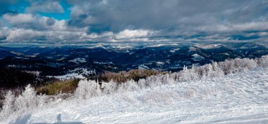 Karpatlar 'ın dağlarında kış manzarası