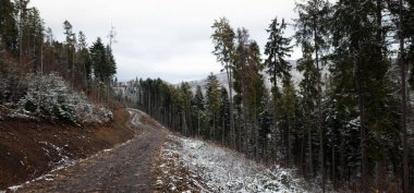 Dağlarda kış ormanı