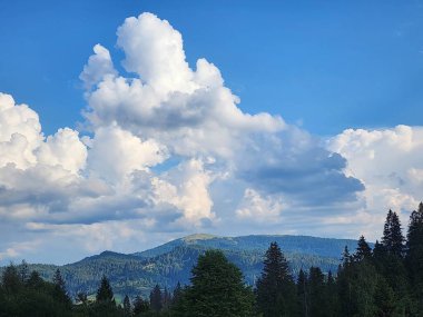 ormanda güzel bulutlar