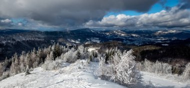 Karla kaplı ağaçlarla kaplı kış manzarası