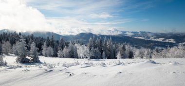 Güzel kış manzarası Karlı ağaçlar ve dağlarla