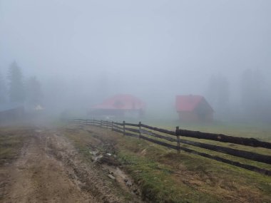 Sabahları dağlarda sisli sis, Ukrayna. Karpatyalı