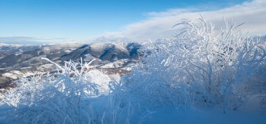 Karla kaplı ağaçlarla kaplı güzel kış manzarası