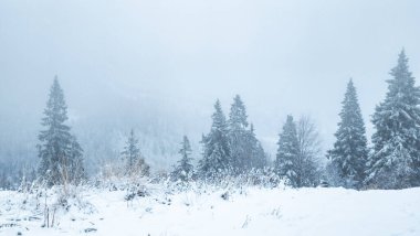 Karlı kış dağları manzarası