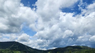 Ormanın güzel manzarası