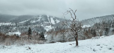 Kışın ağaçlı güzel dağ manzarası