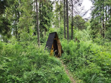 Orman Nehri üzerinde ahşap köprü.