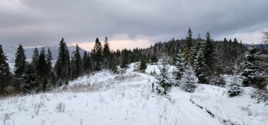 Dağlarda kış ormanı.