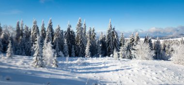 Dağlardaki karlı kış manzarası