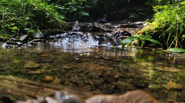 Ormanda güzel bir şelale