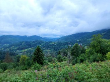 Arkasında bir dağ olan güzel bir manzara.