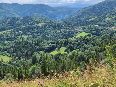 Yazın Ukrayna Karpat Dağları manzarası