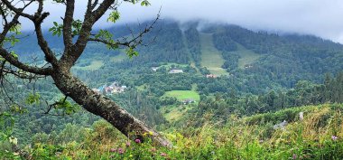 Arkasında bir dağ olan güzel bir manzara.