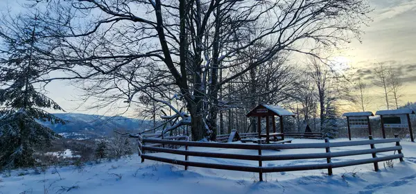 Karla kaplı ağaçlarla kaplı güzel kış manzarası