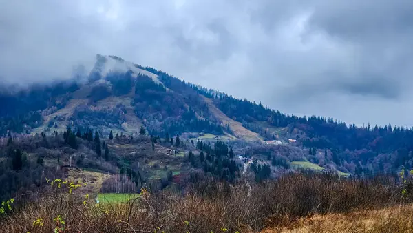 Dağlarda ağaçlar olan güzel sonbahar dağ manzarası. Karpatlar. ukraine.