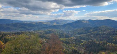 Ağaçlar ve yapraklarla dolu güzel sonbahar manzarası