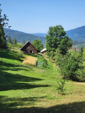 Yeşil ağaçlar ve ormanlarla dolu yaz manzarası