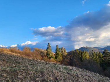 Dağlarda nehri olan güzel bir manzara.