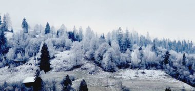 Karla kaplı ağaçlarla kaplı kış manzarası