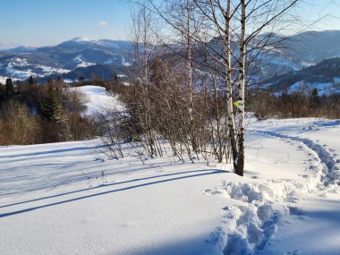 Bavyera kış manzarası